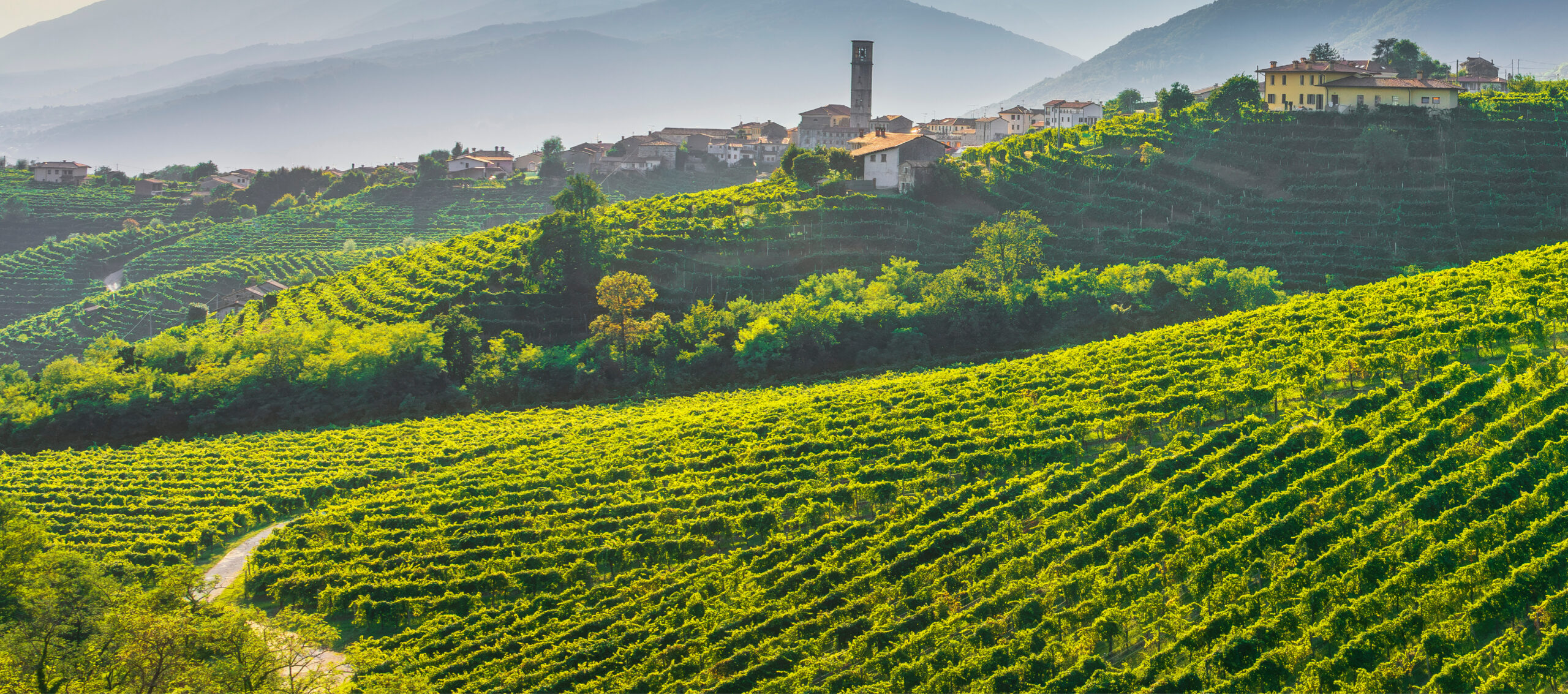 Panorama delle colline del prosecco