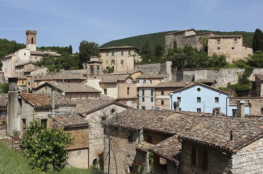 Il Percorso della Vernaccia Nera a Serrapetrona