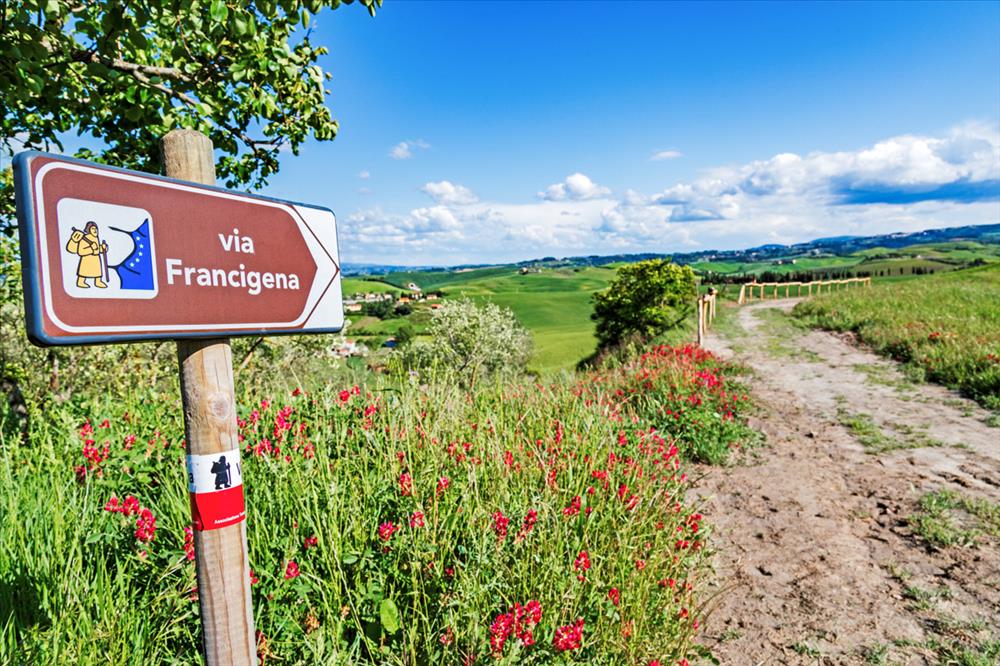 La Via Francigena 
