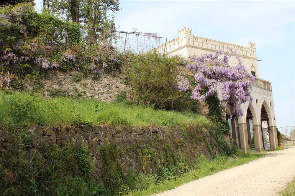Colli Euganei in bici verso Nord