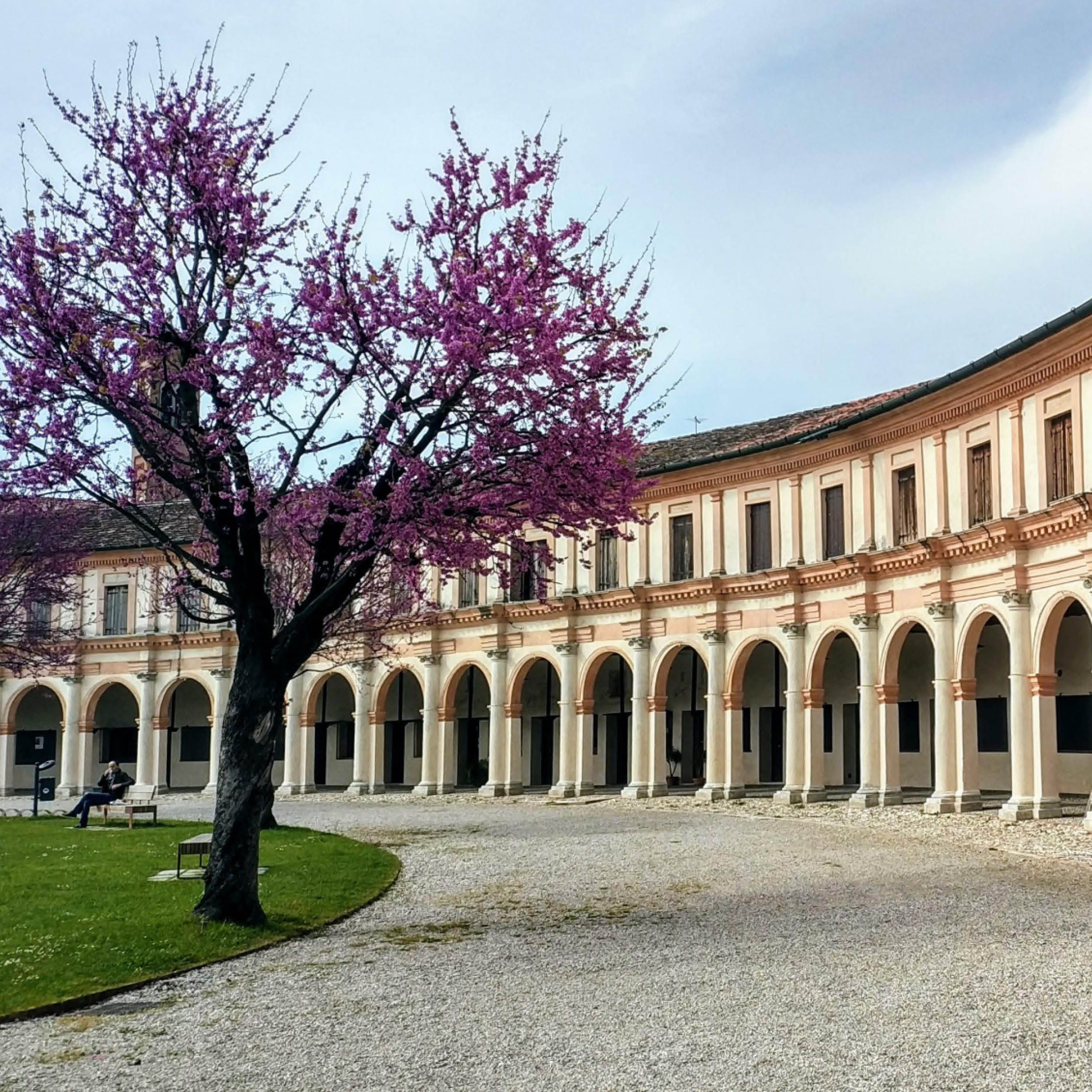 La Rotonda di Badoere con un albero fiorito in primo piano.