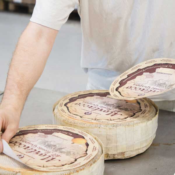 Lavorazione artigianale di formaggi tipici