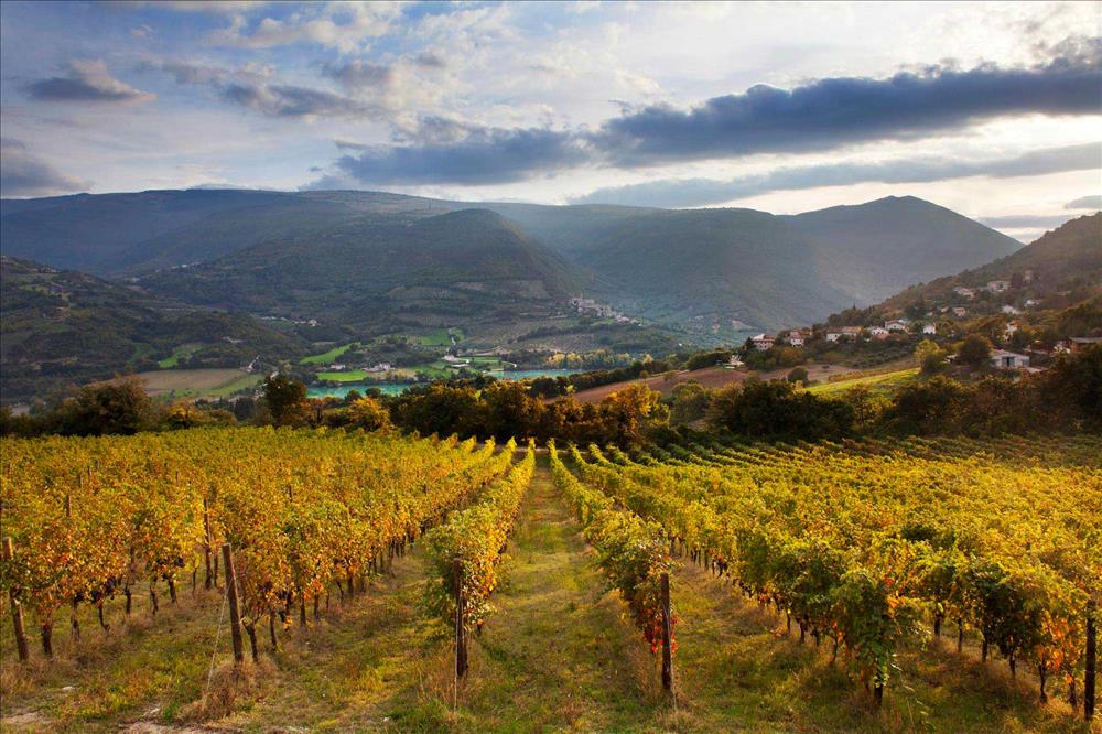 Podere sul Lago